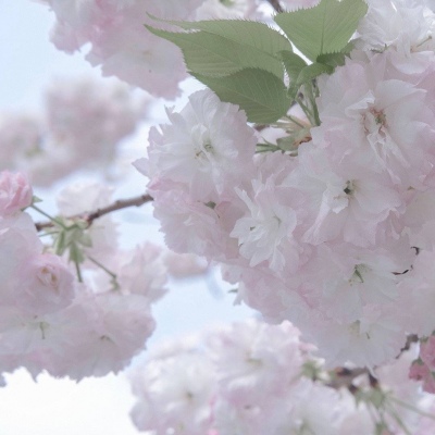 兽设创意设计灵感福瑞交流群